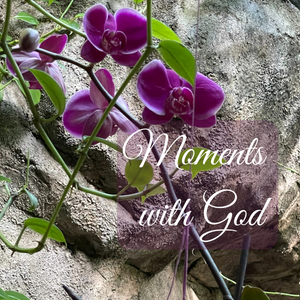 Moments with God, Vol. 73