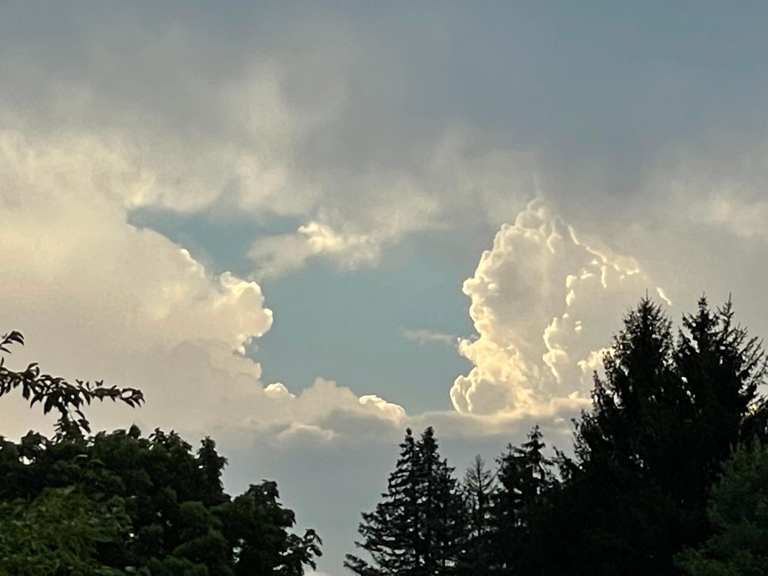 Spring blue skies with clouds