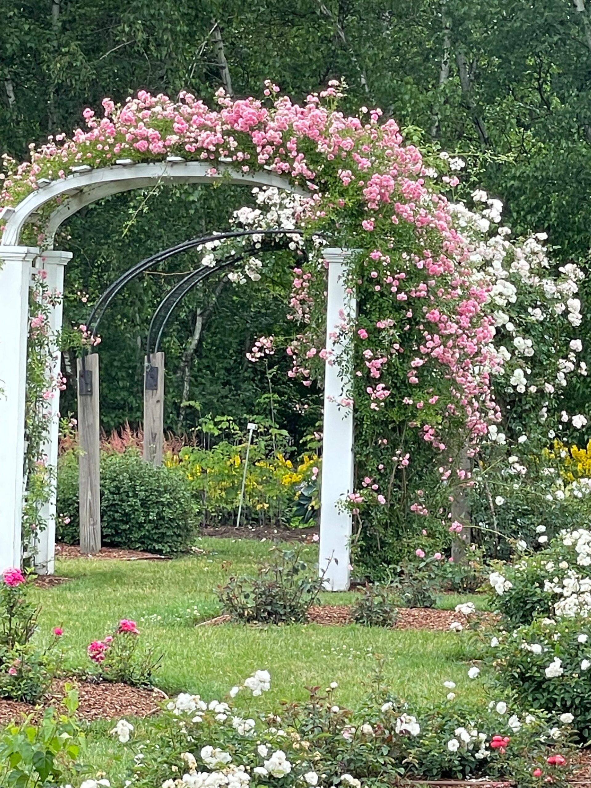 Arch of flowers