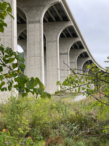 Under the Bridge