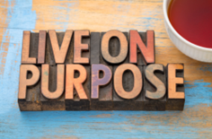 Purpose Purpose