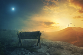 cradle and the cross