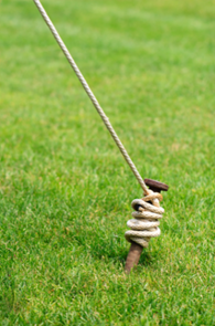 tent stake