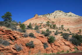 Mount Carmel