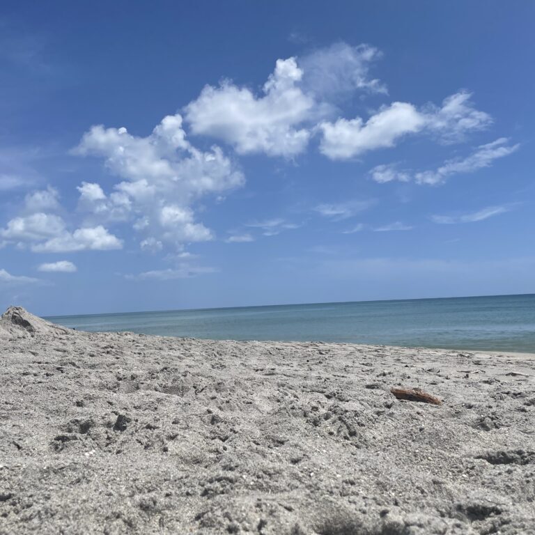 Beach Beach