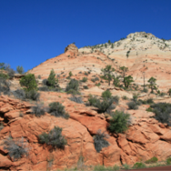 Mount Carmel