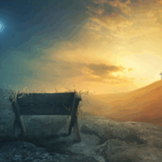 cradle and the cross