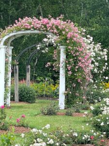 Arch of flowers