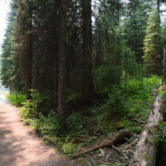 two paths two paths