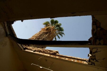 Looking at a palm tree through a whole on the ceiling